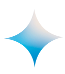 Google Gemini